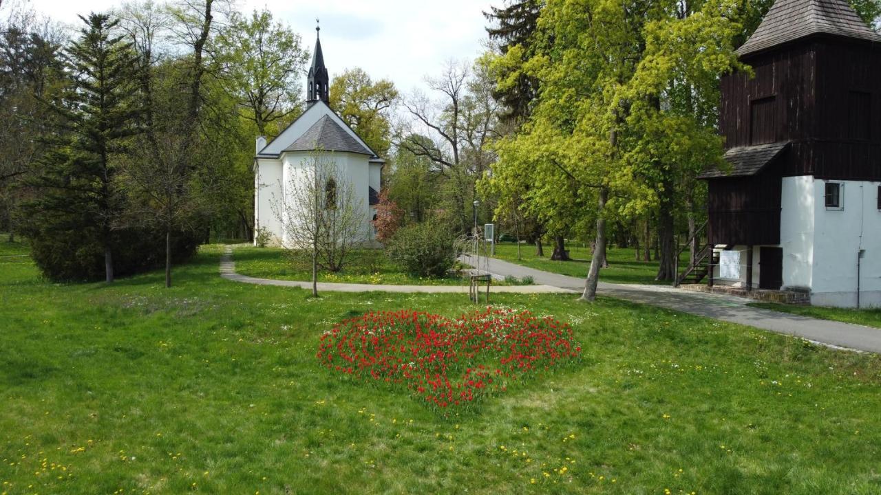 Homestay Podebrady