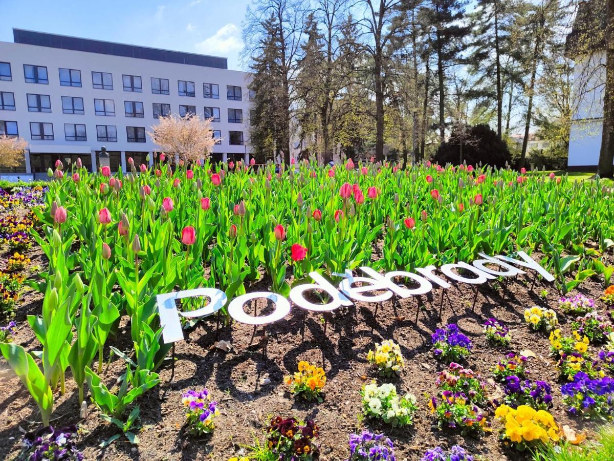 Homestay Podebrady Alloggio in famiglia